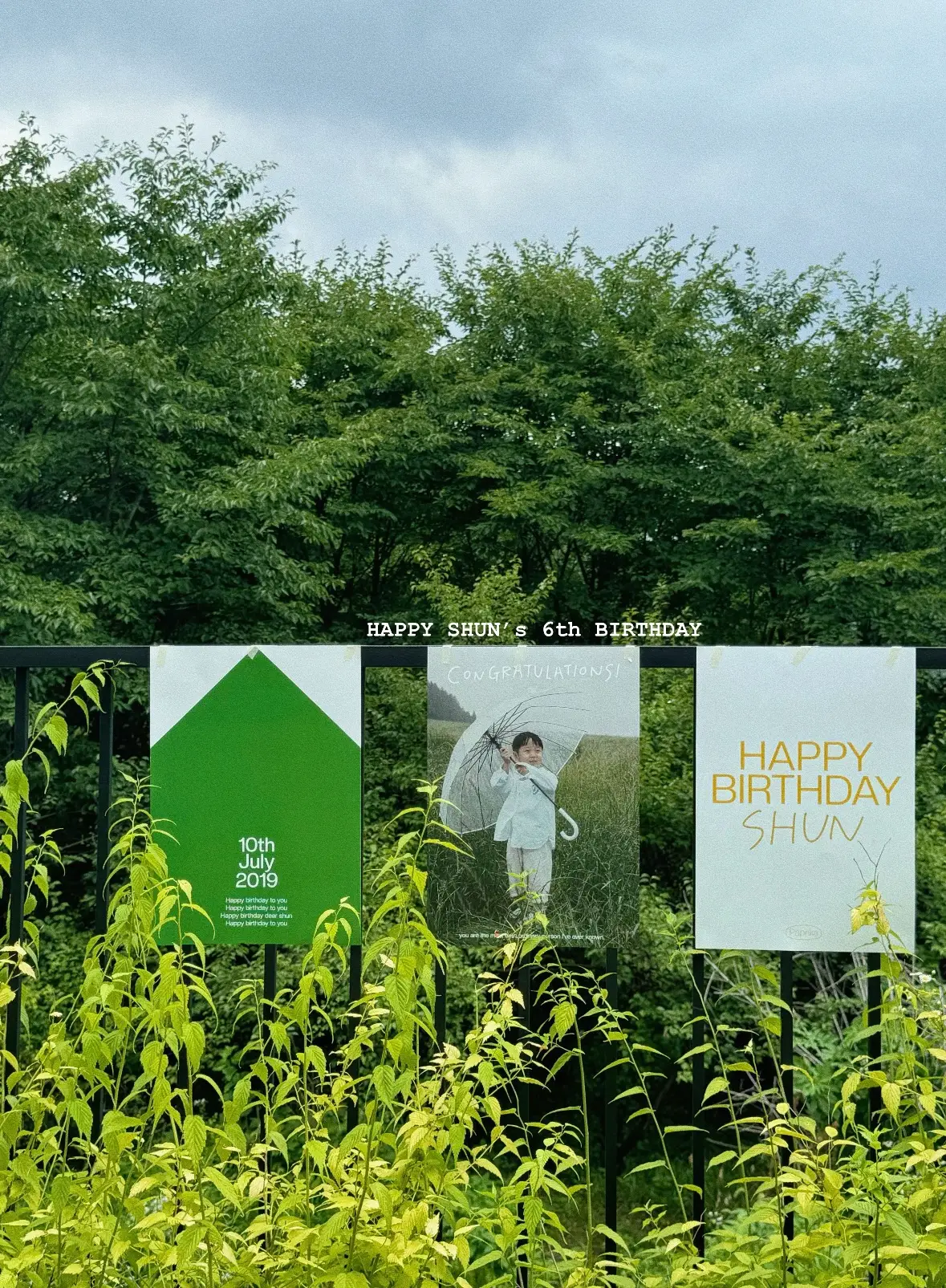 이미지 3