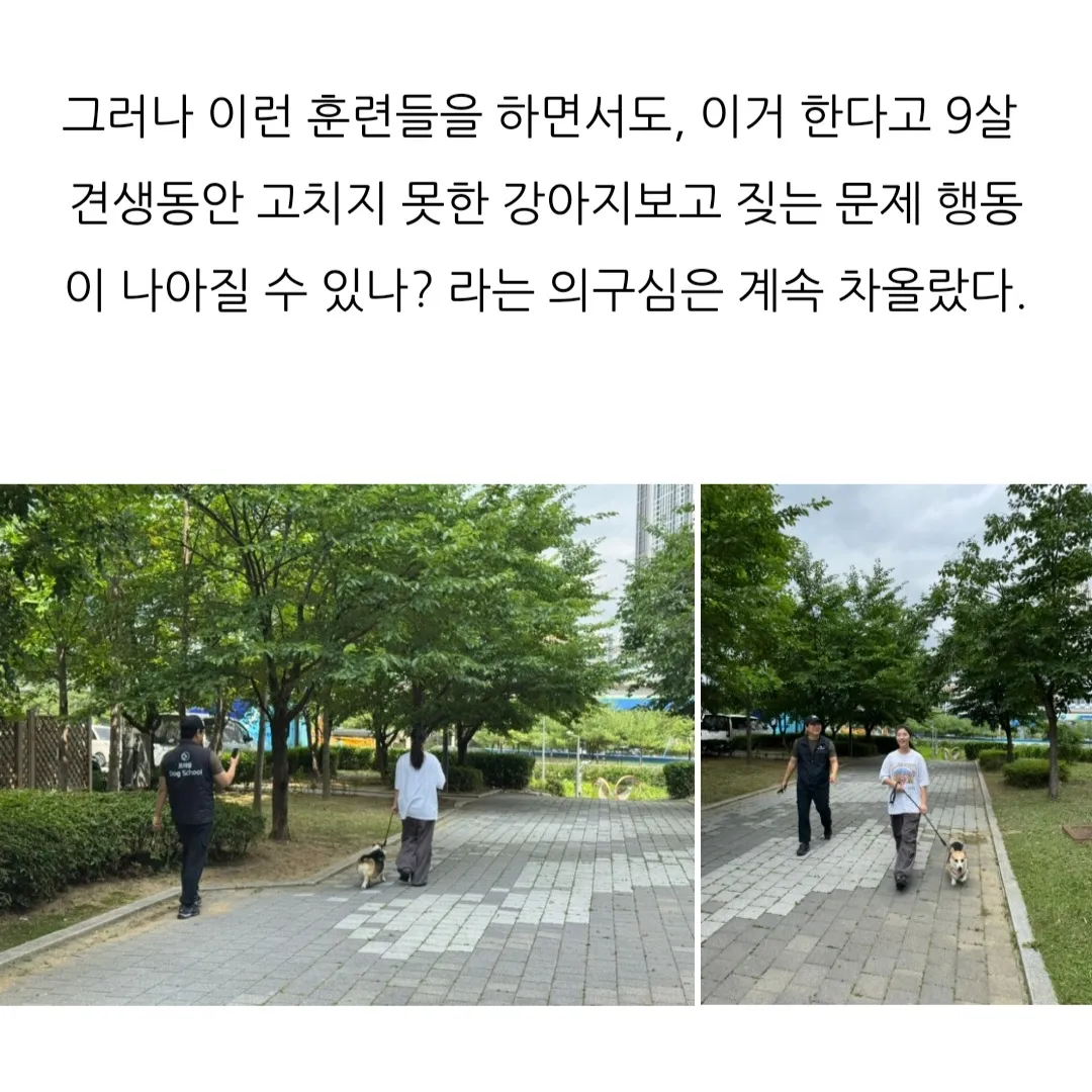 이미지 5