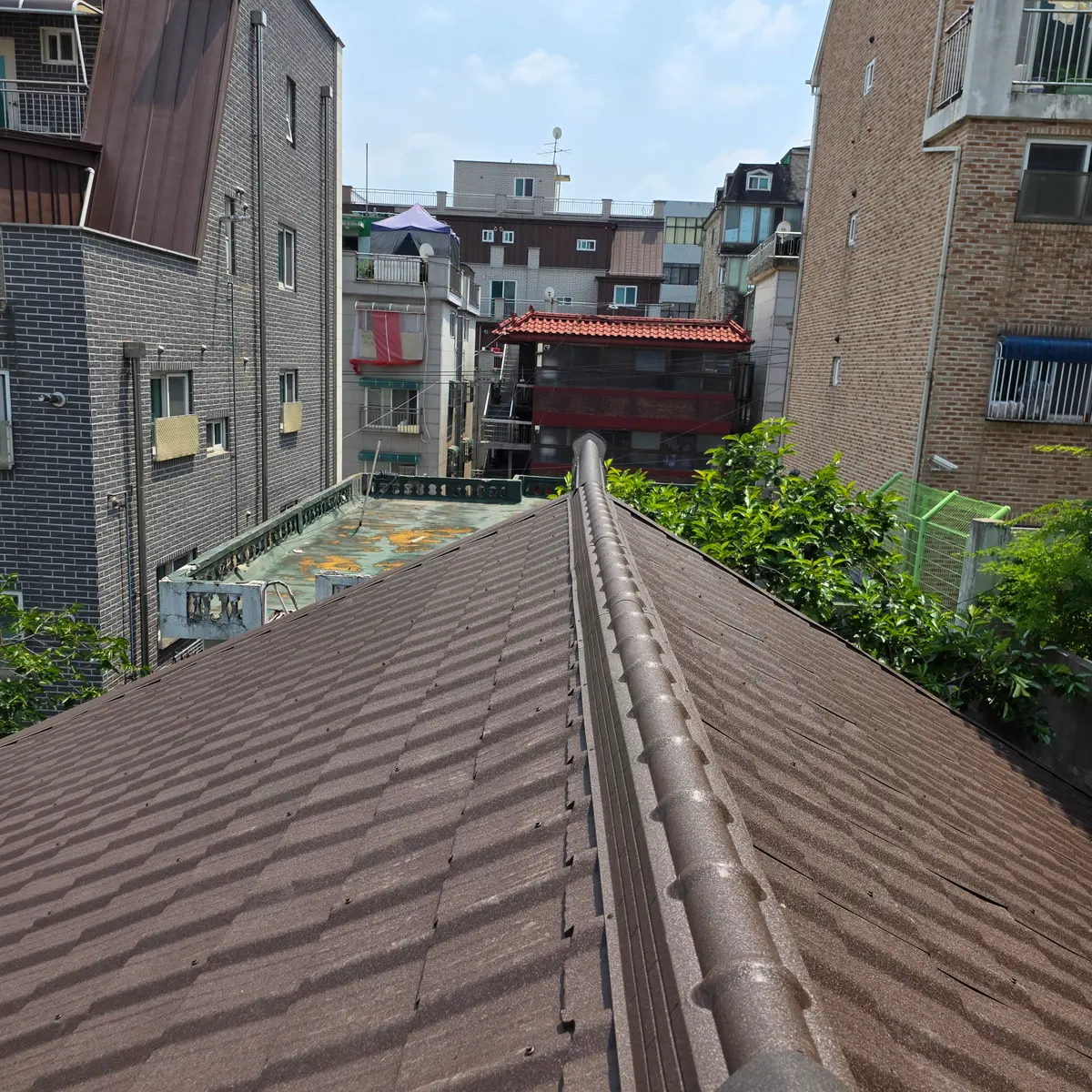 이미지 8