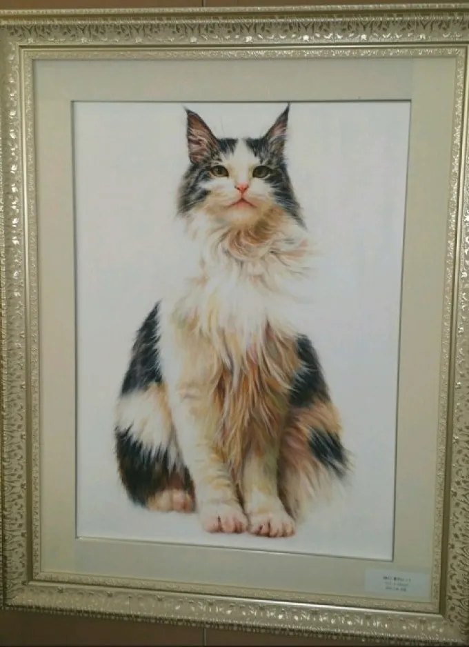 이미지 9