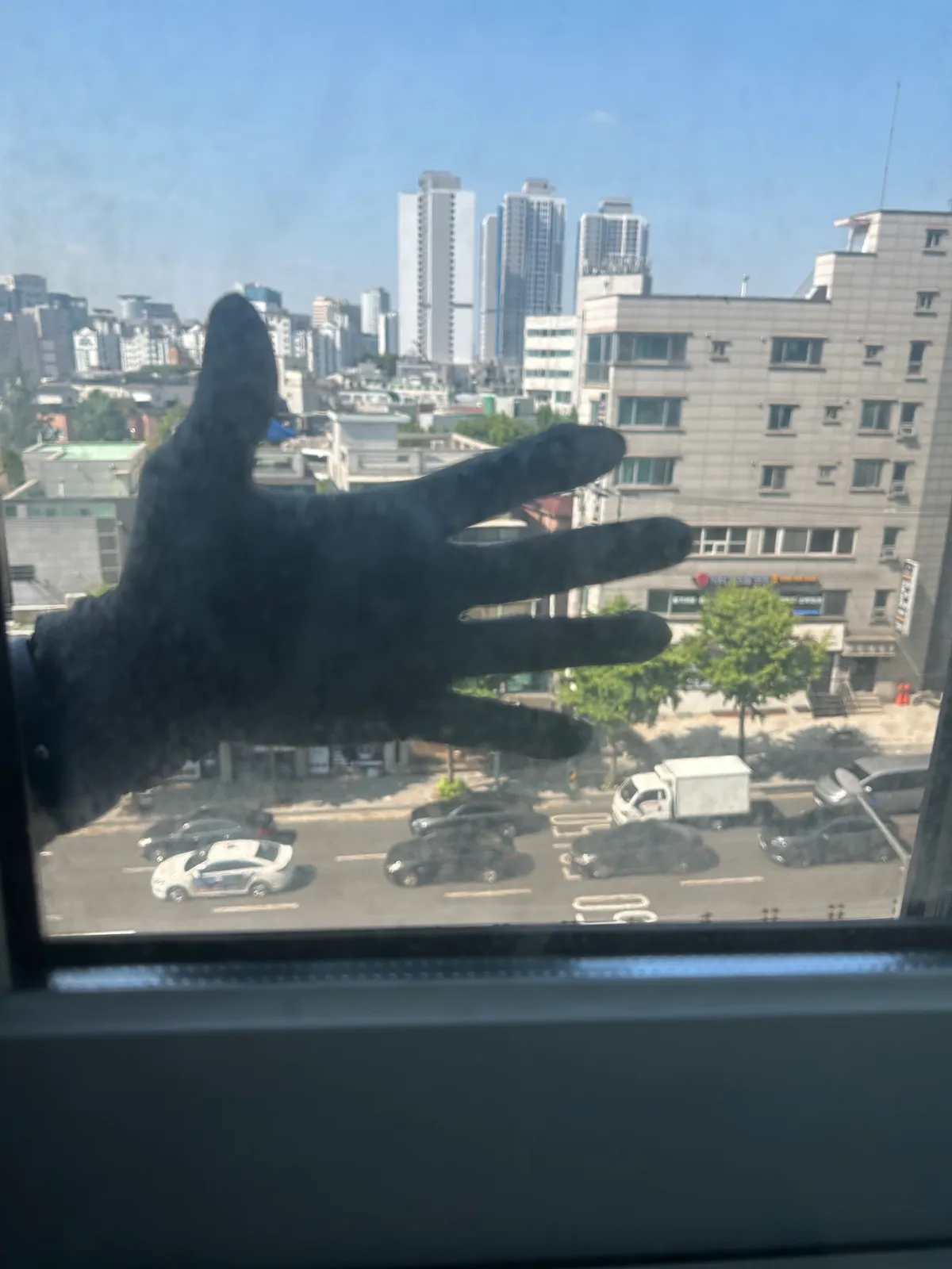 이미지 6