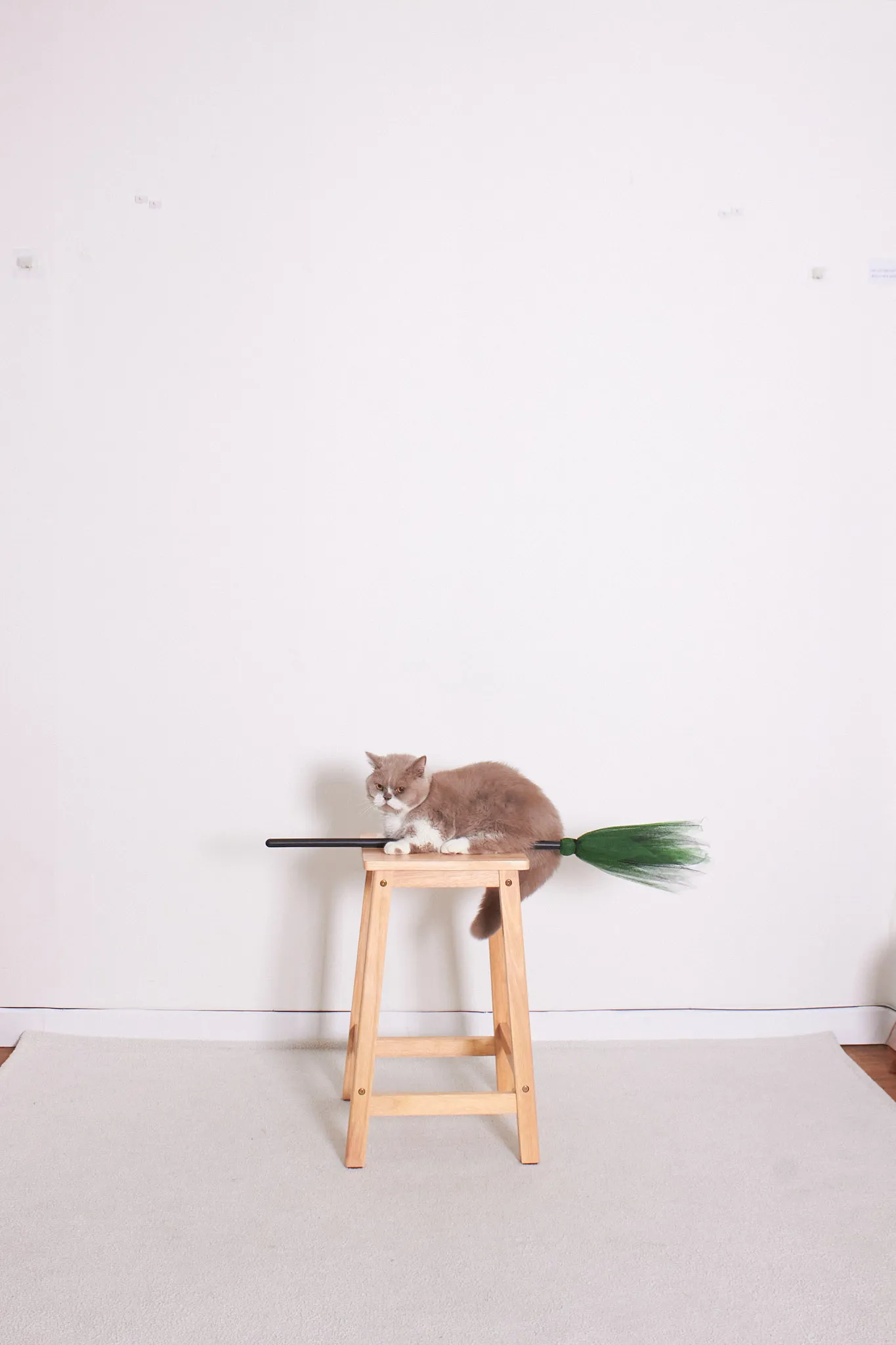 이미지 3