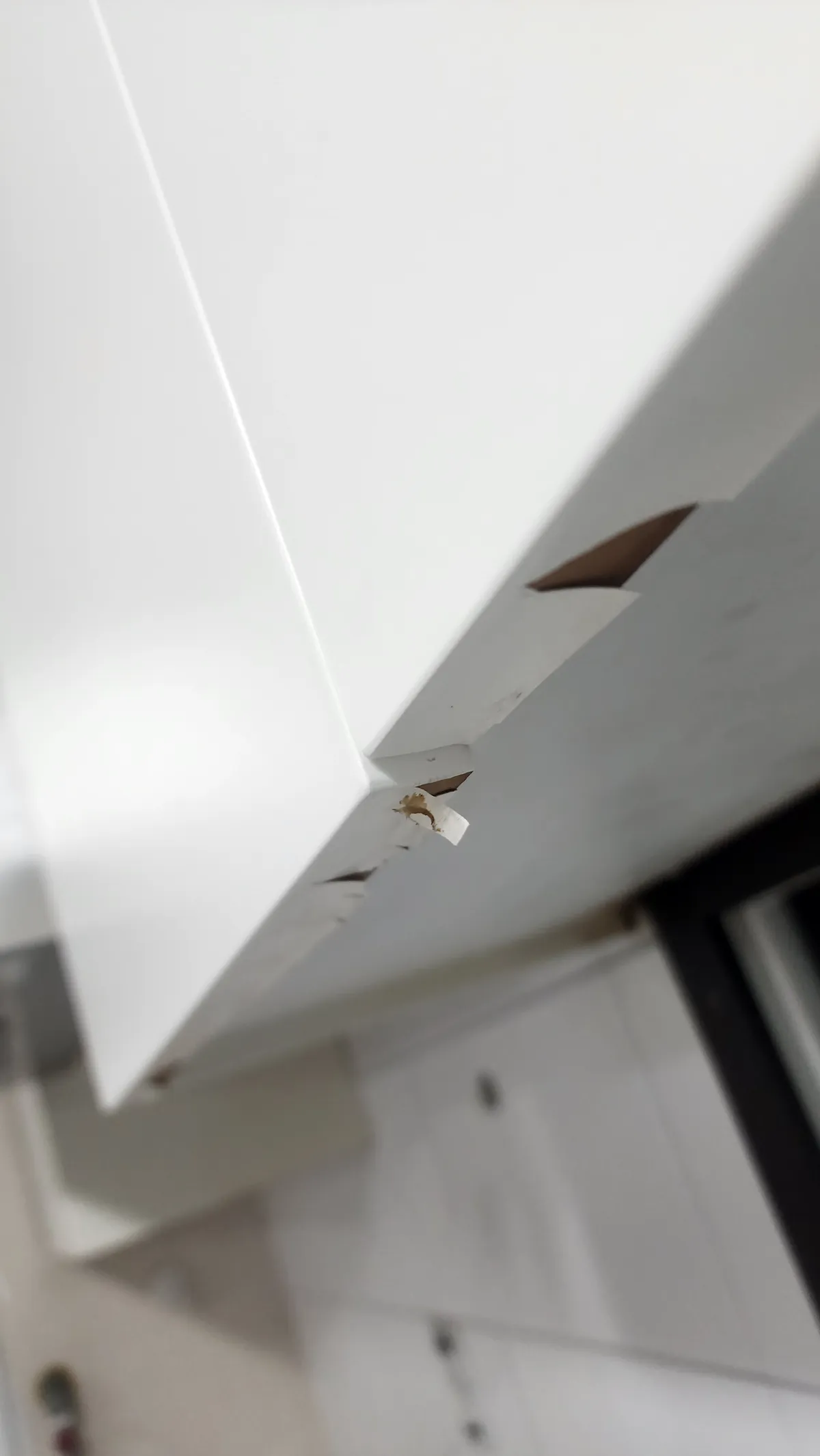 이미지 6