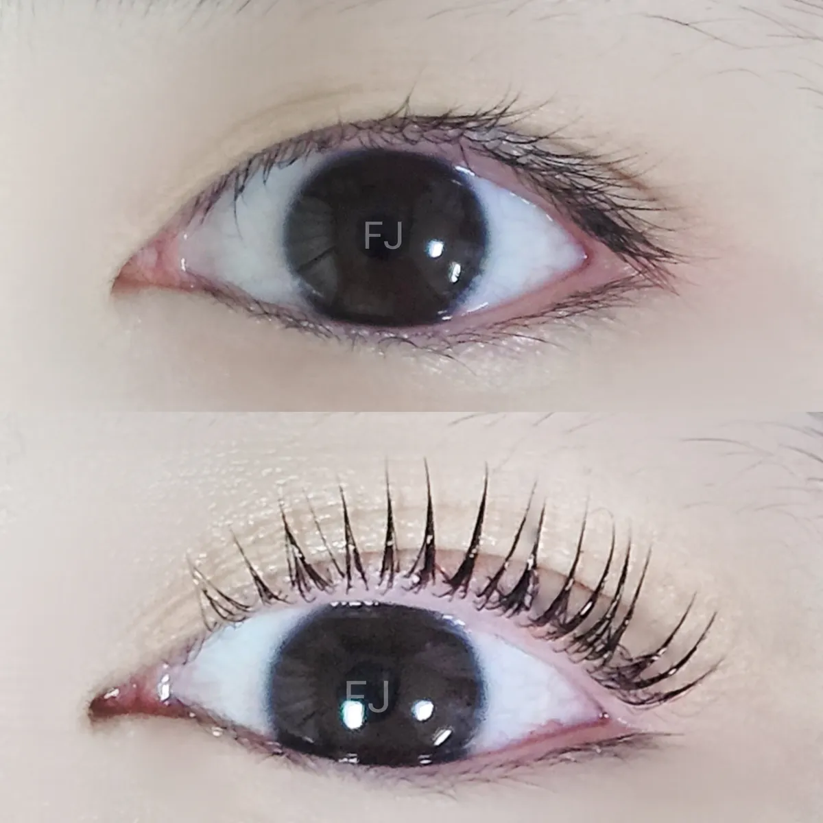 이미지 7