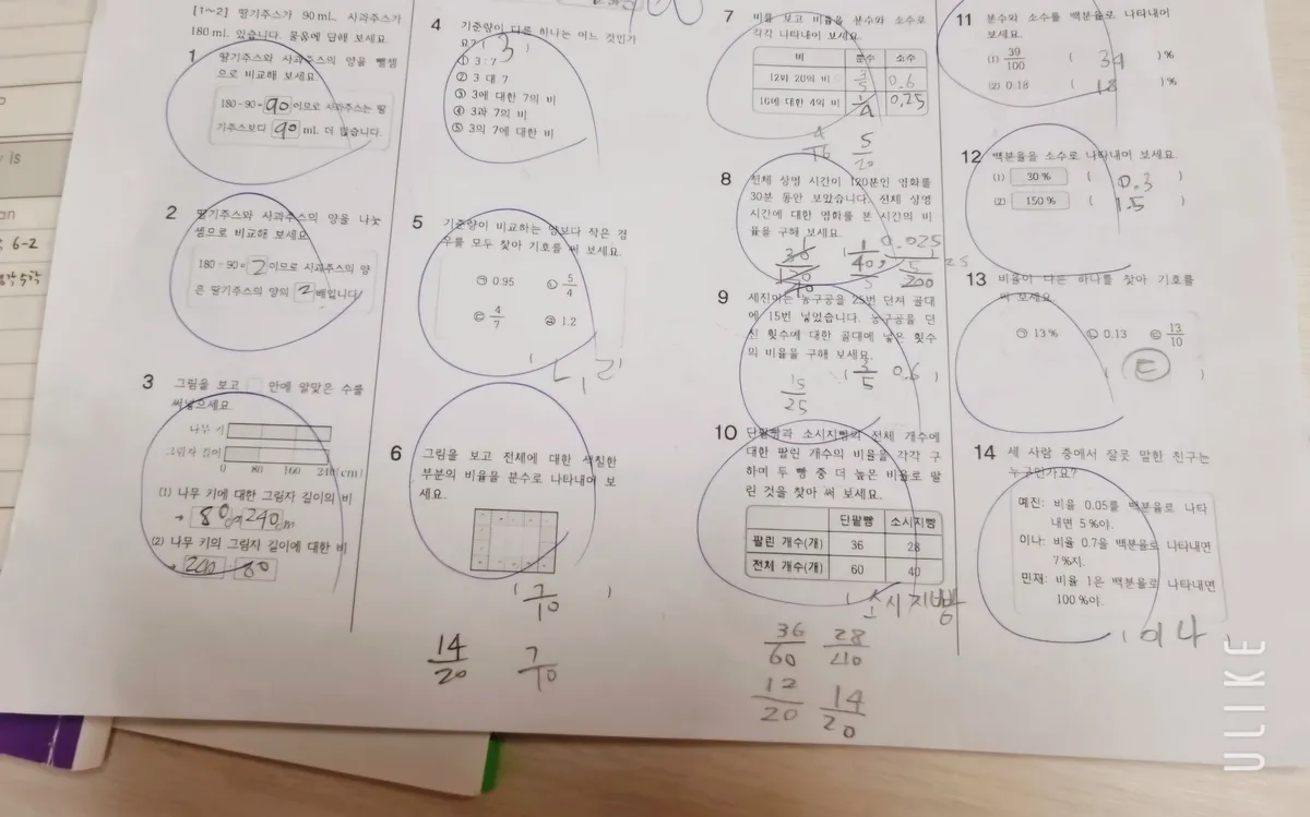 이미지 3