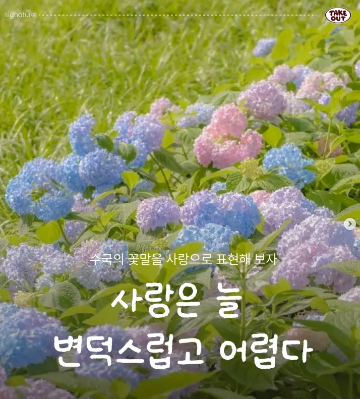 이미지 8