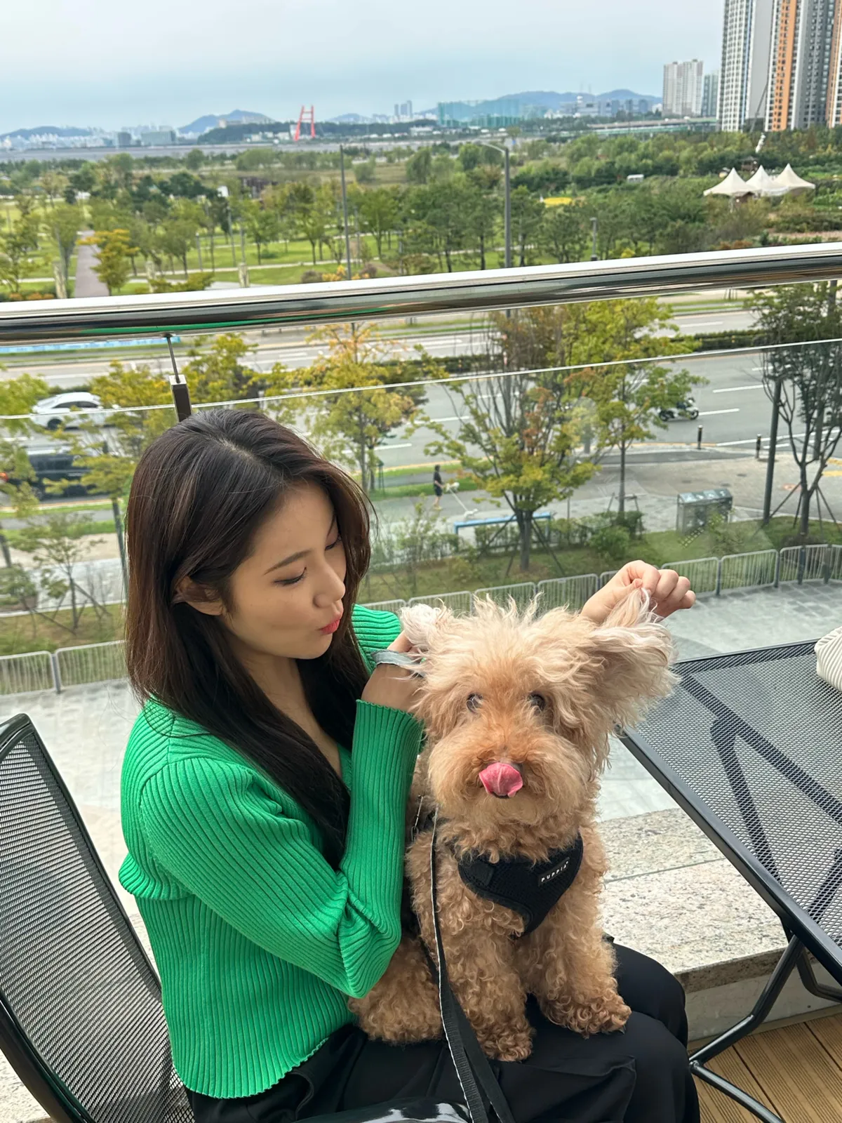 이미지 7