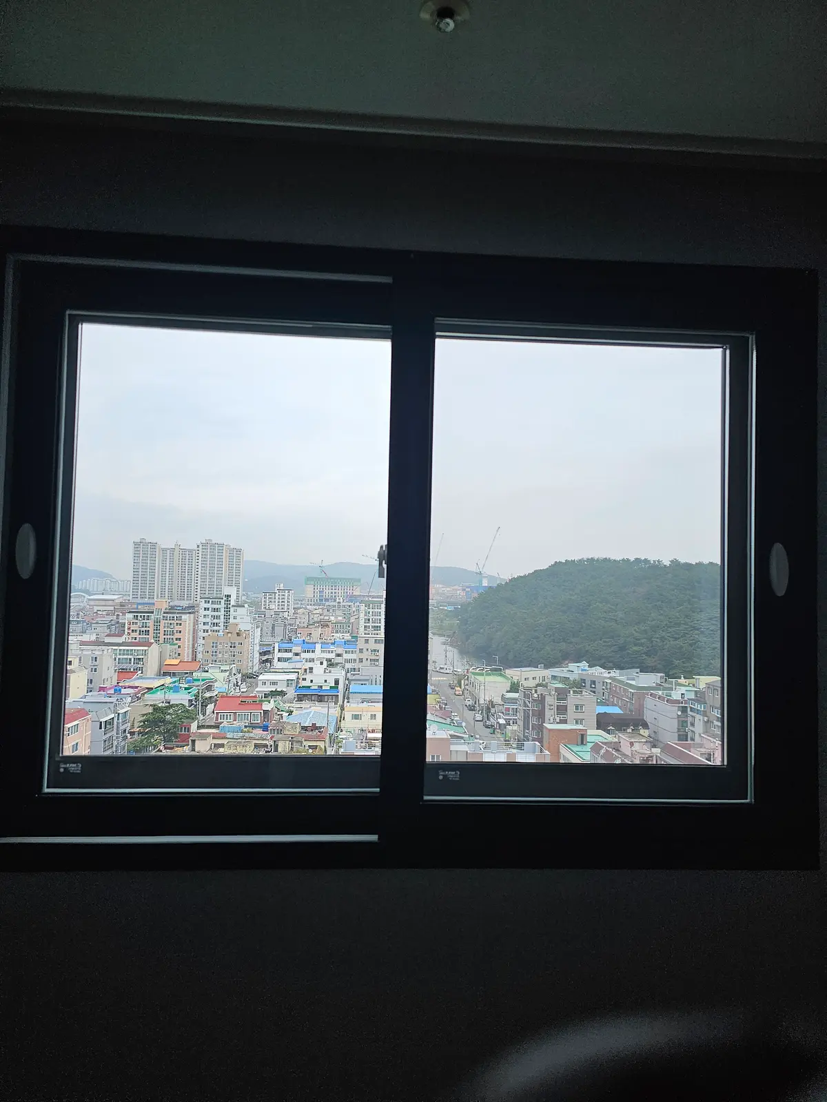 이미지 8