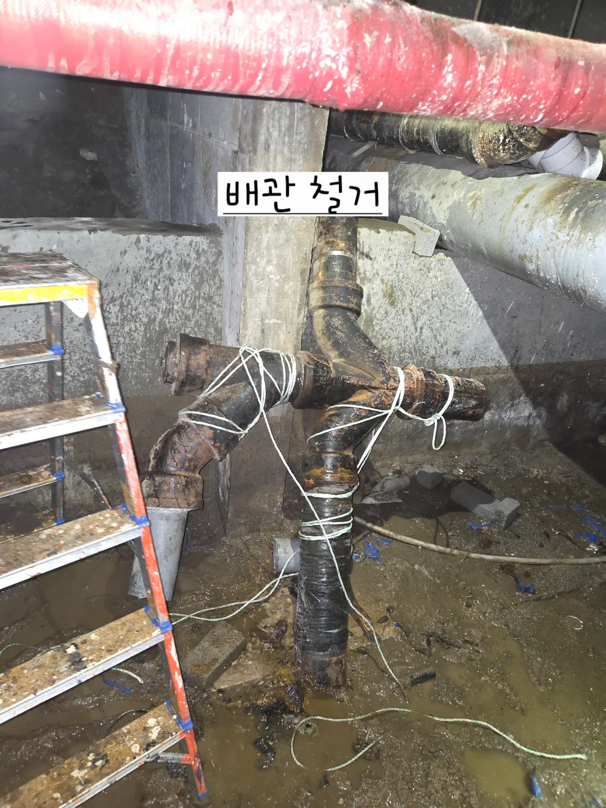 이미지 7
