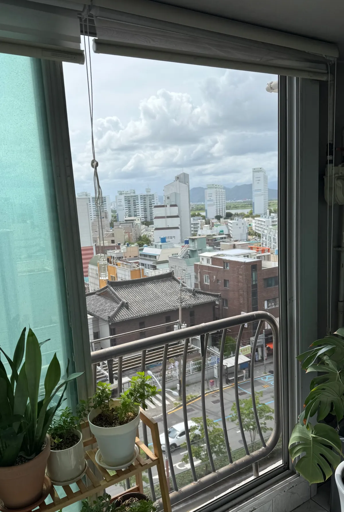이미지 16