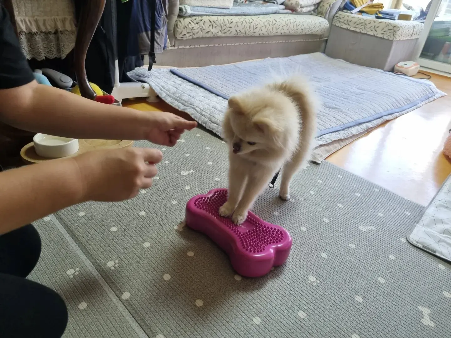 이미지 8