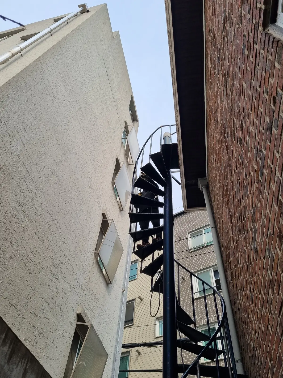 이미지 5