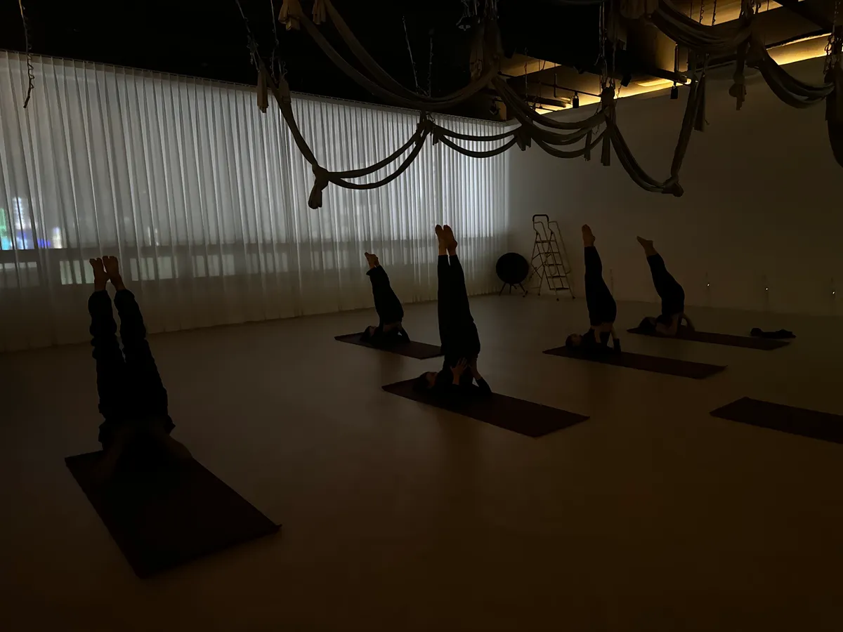 이미지 4