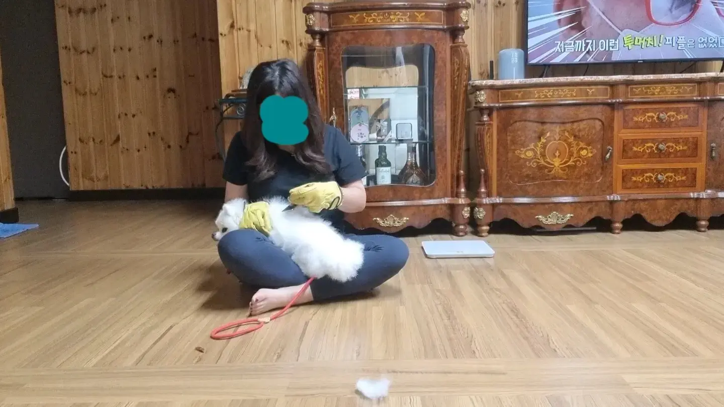 이미지 5
