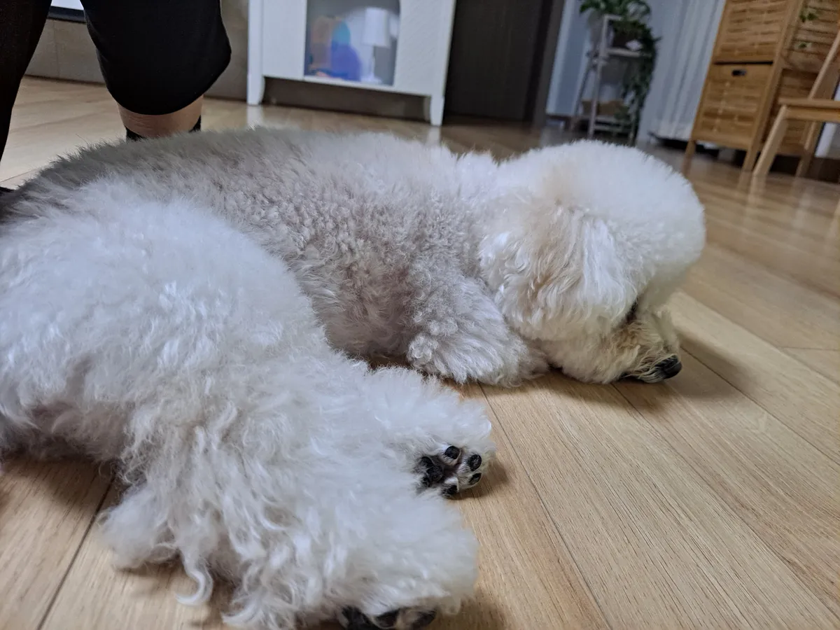 이미지 7