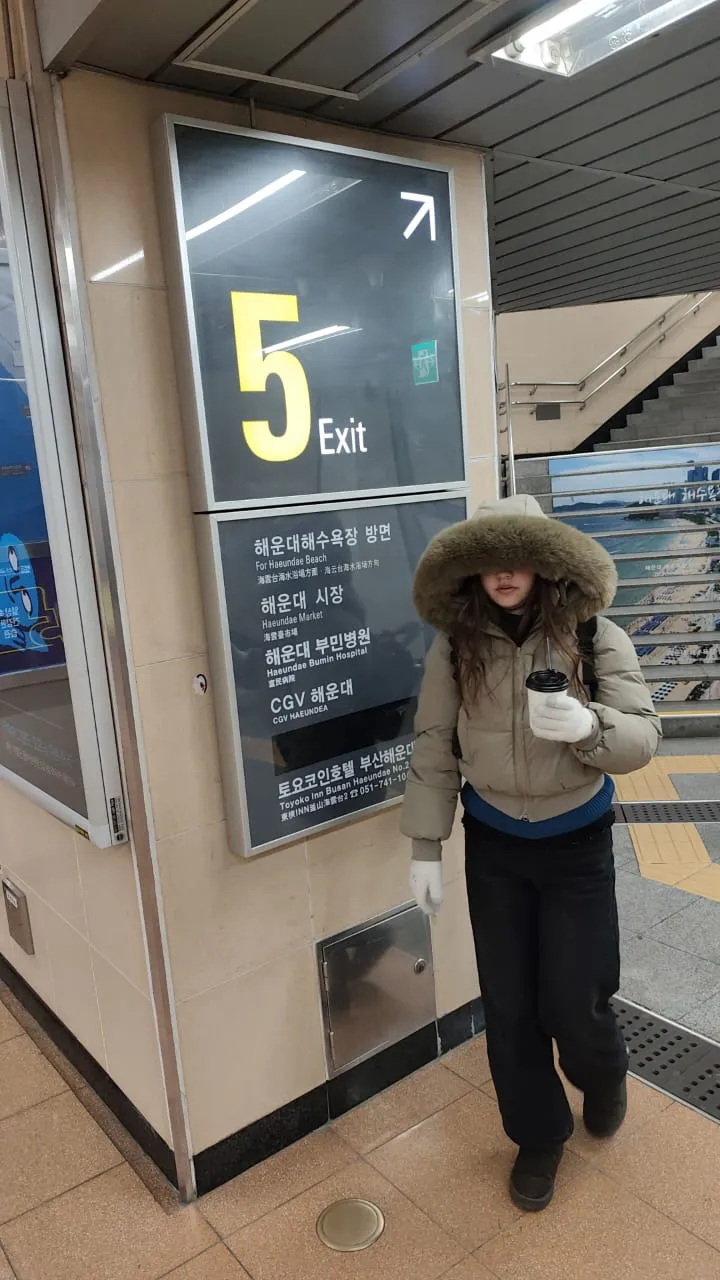 이미지 4