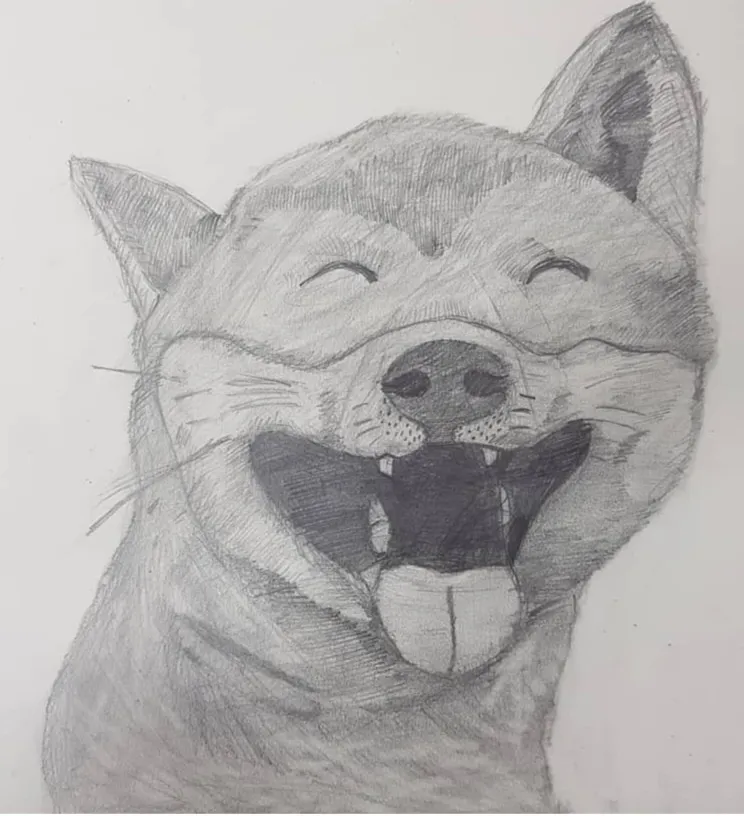 이미지 10
