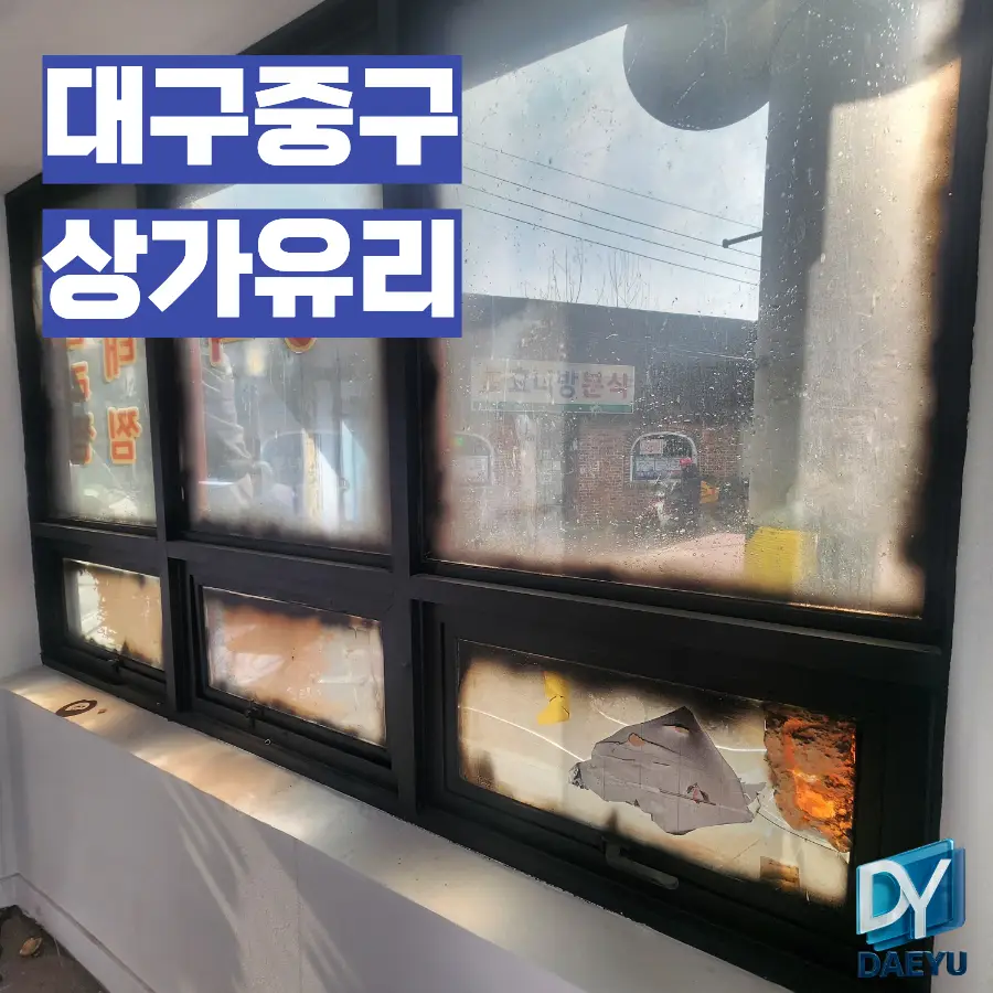 이미지 14