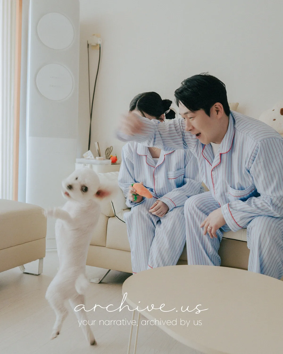 이미지 6