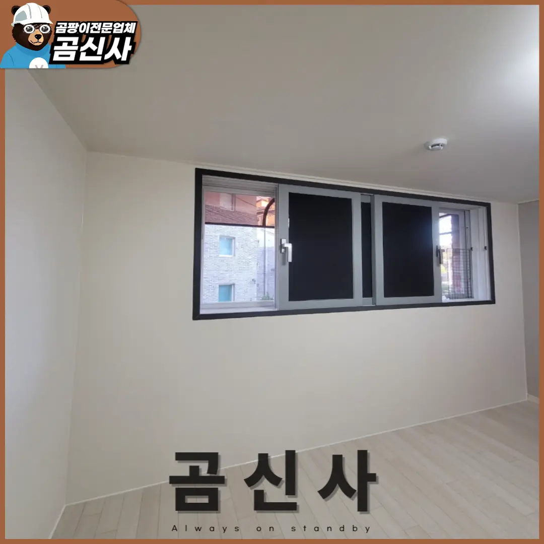 이미지 11