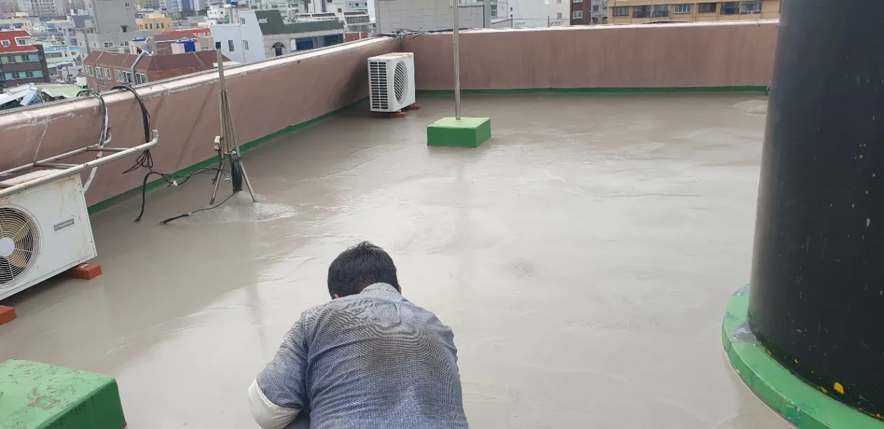 이미지 7