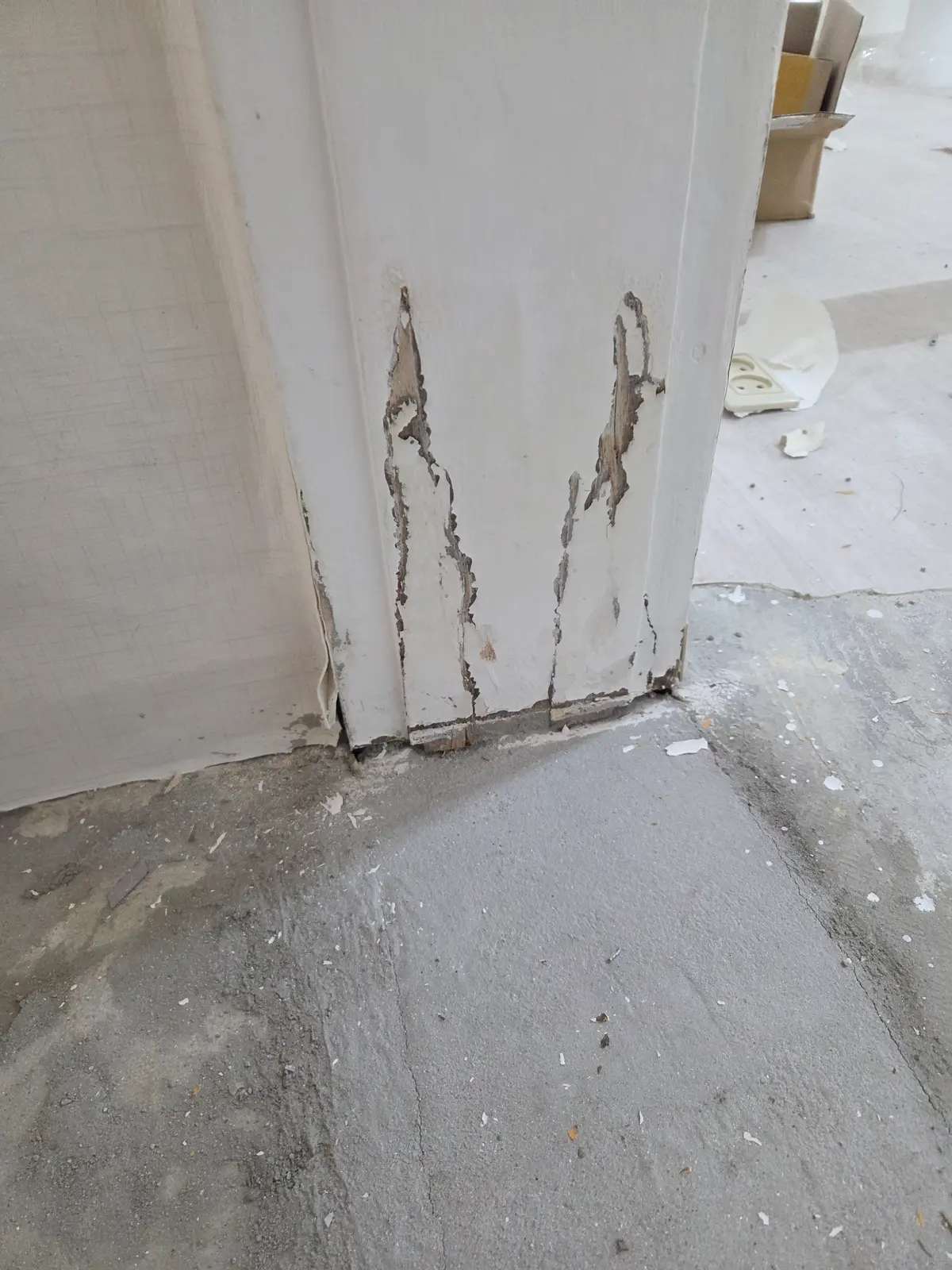 이미지 4