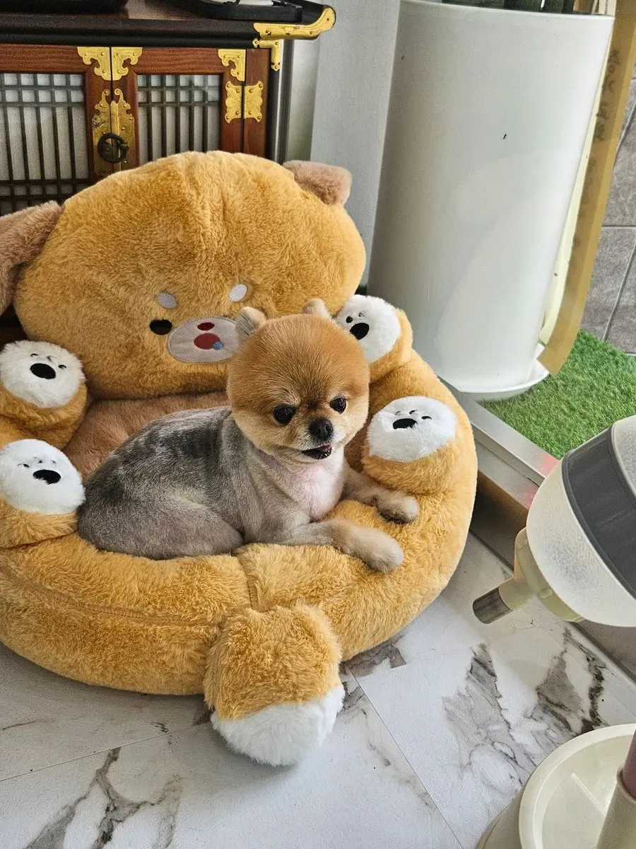 이미지 8