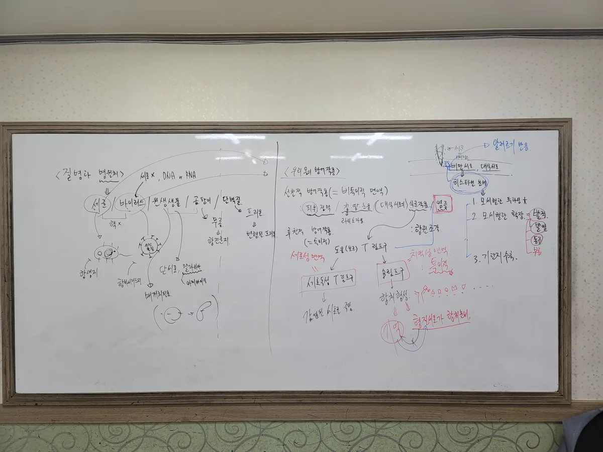 이미지 3
