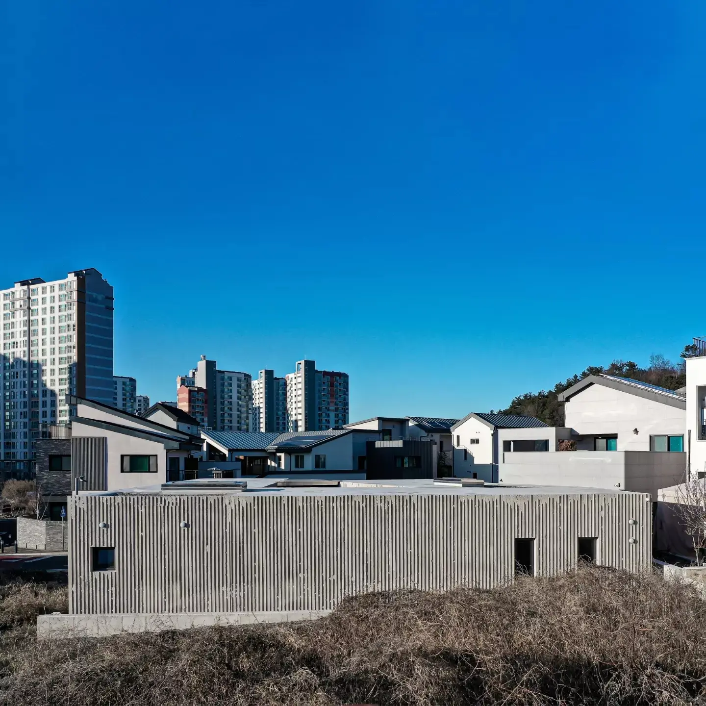 이미지 12
