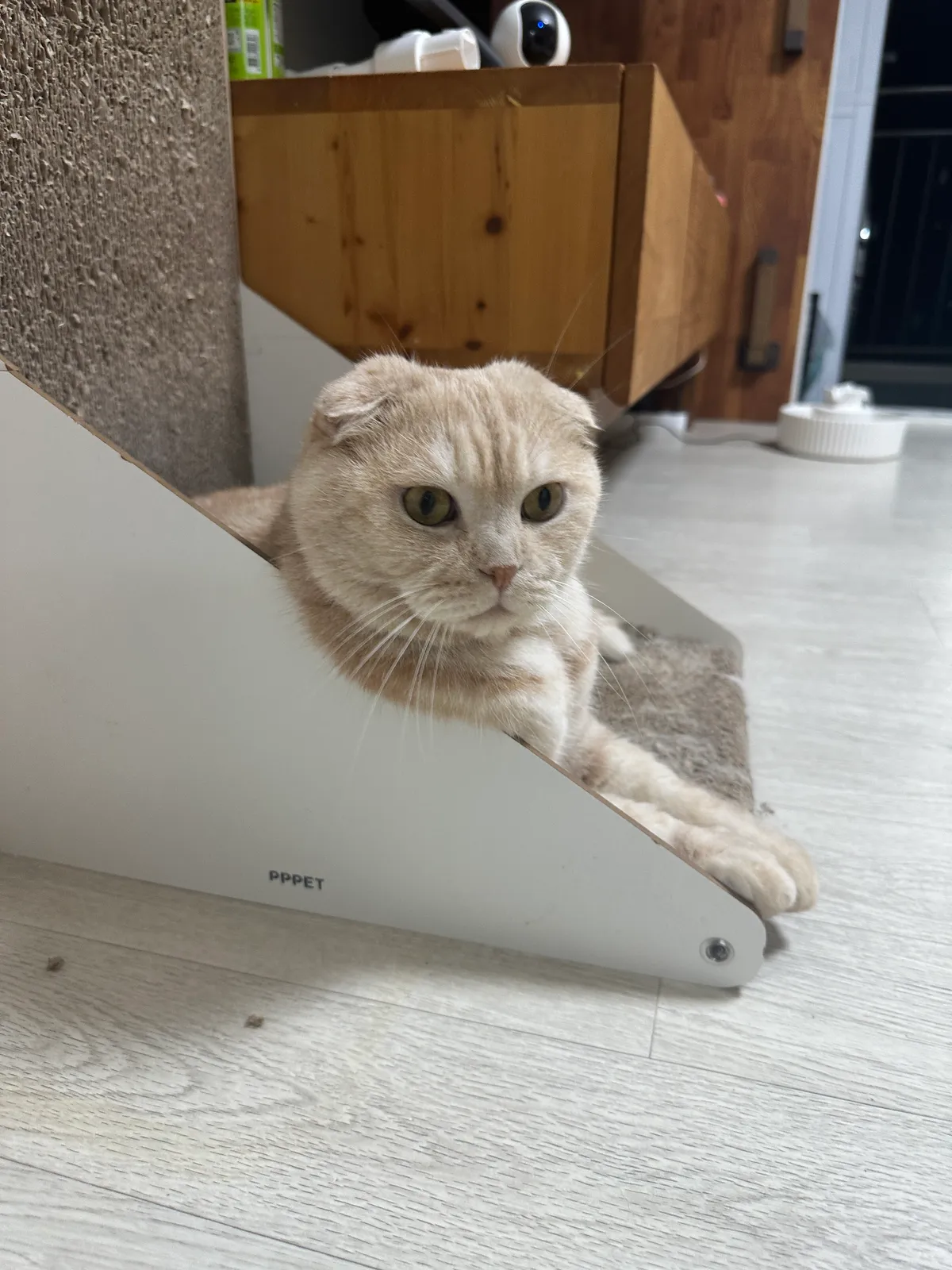 이미지 3