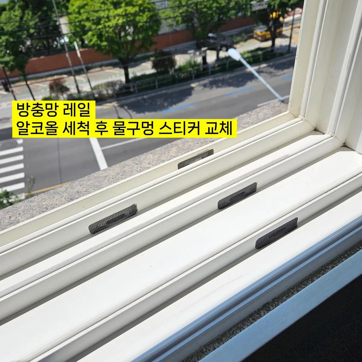 이미지 14