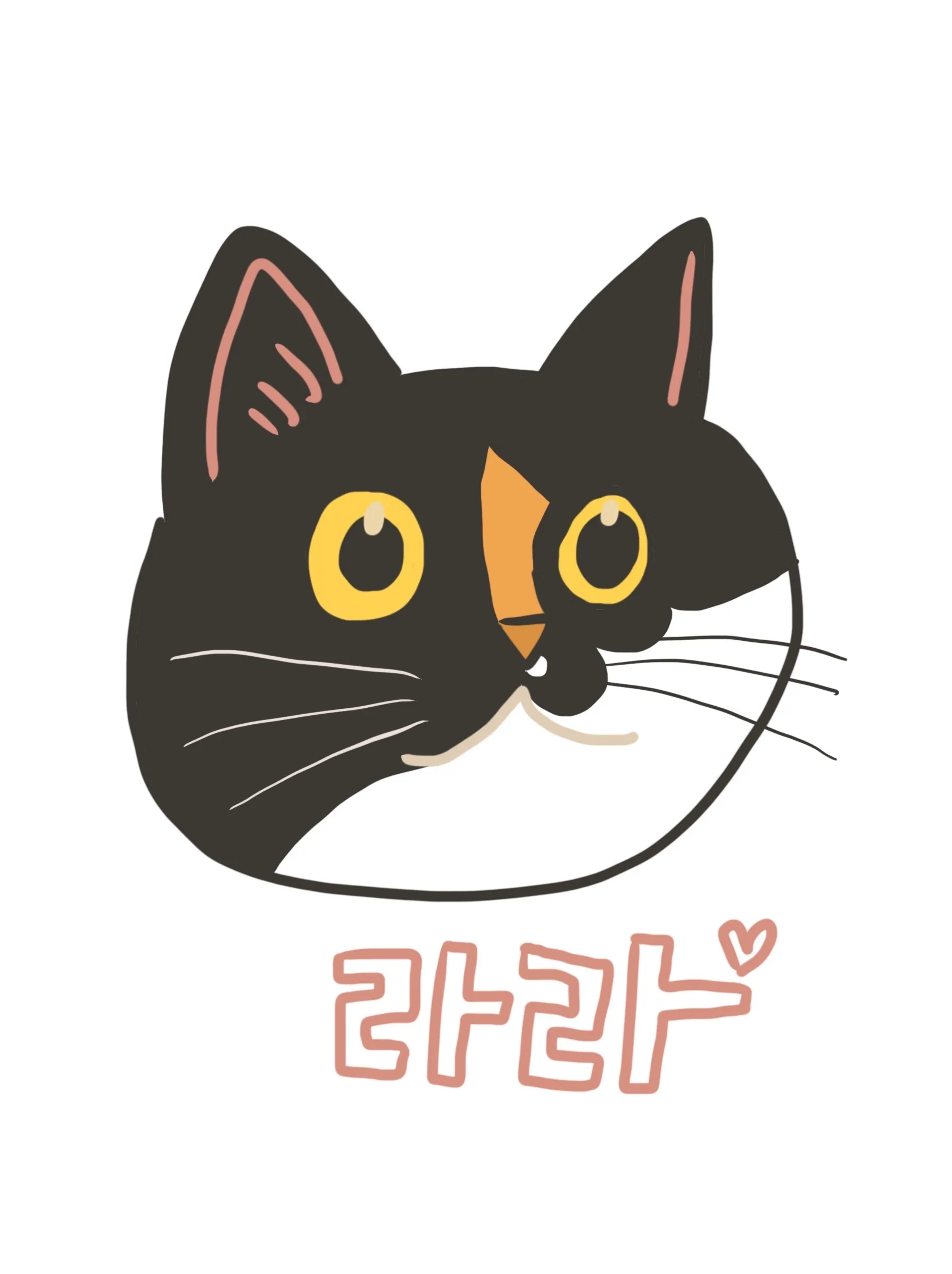 이미지 8