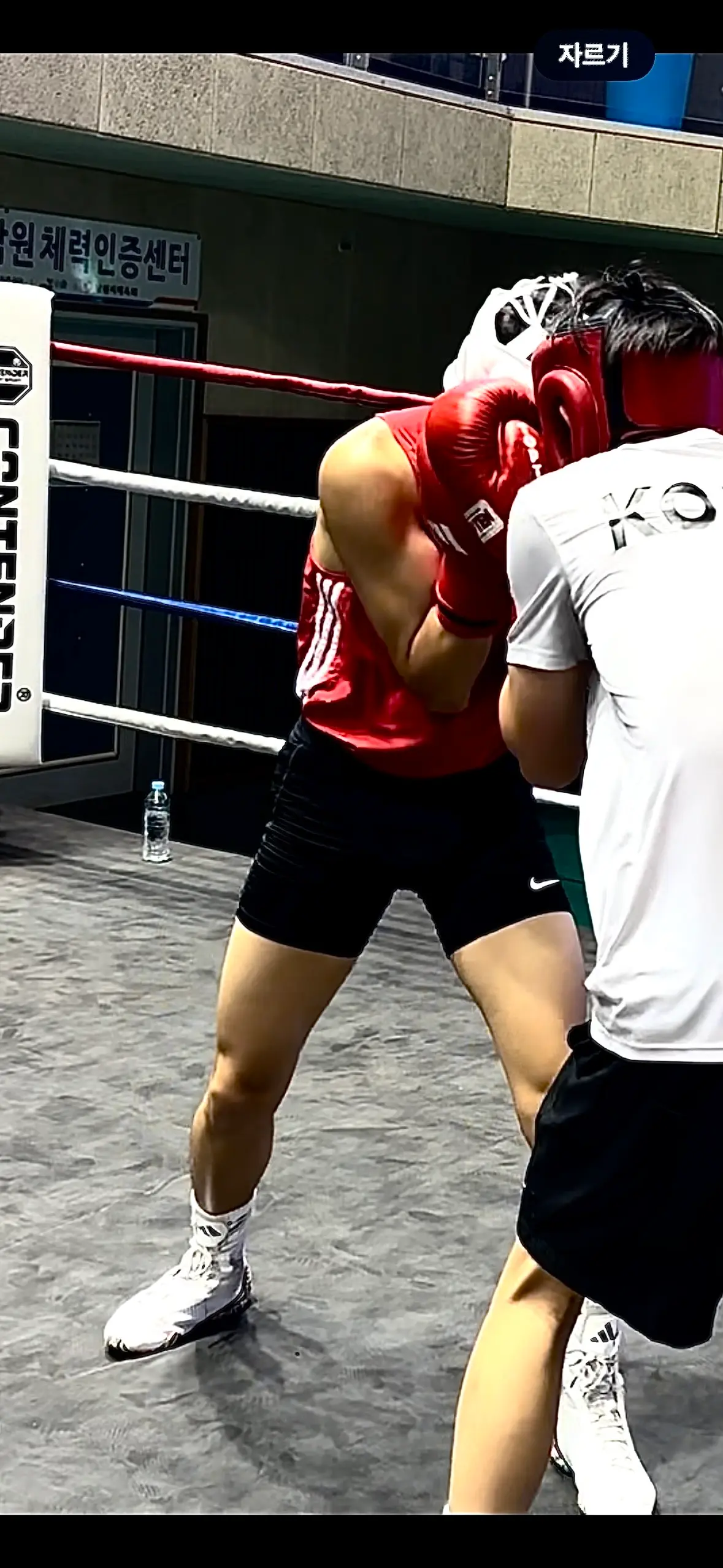 이미지 3