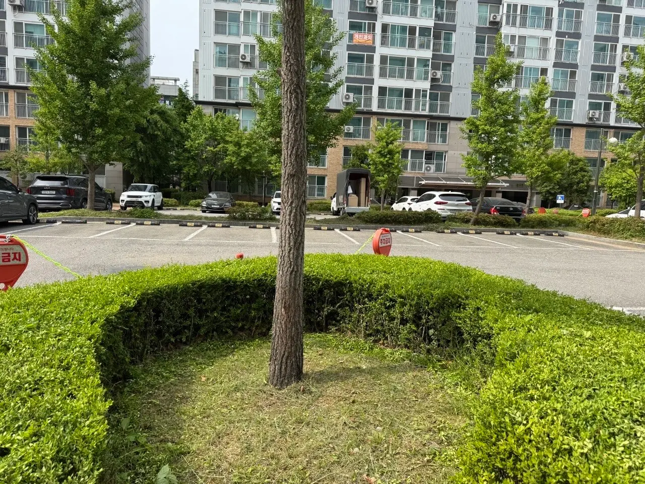 이미지 24