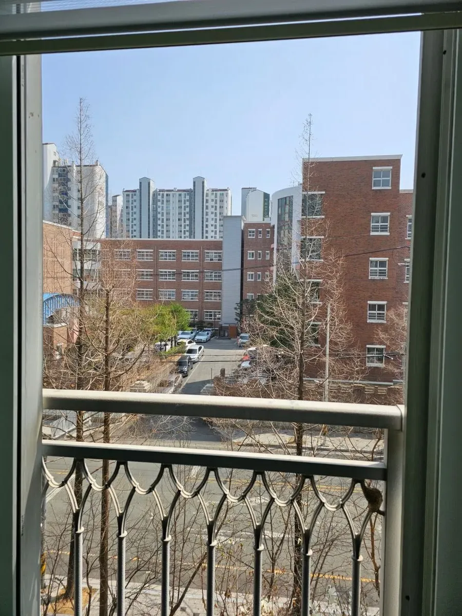 이미지 12