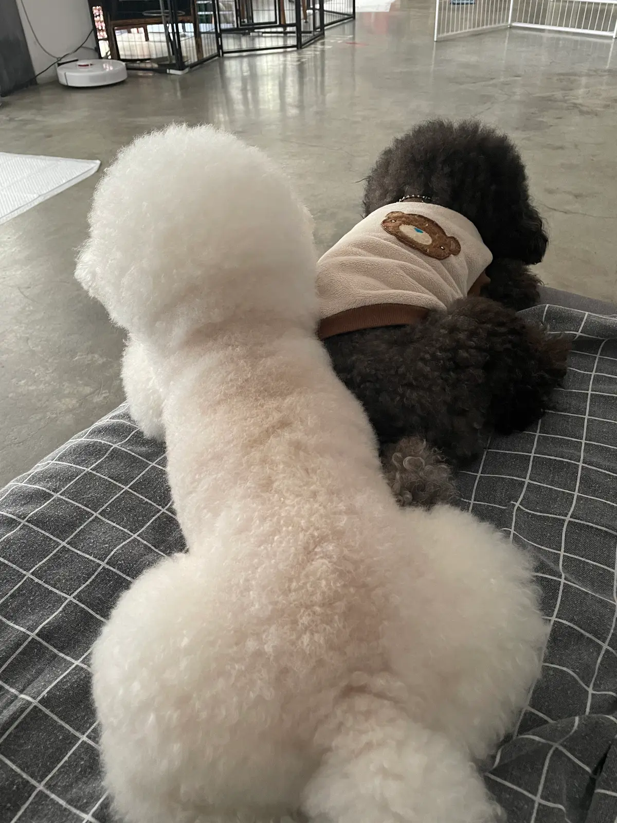 이미지 4
