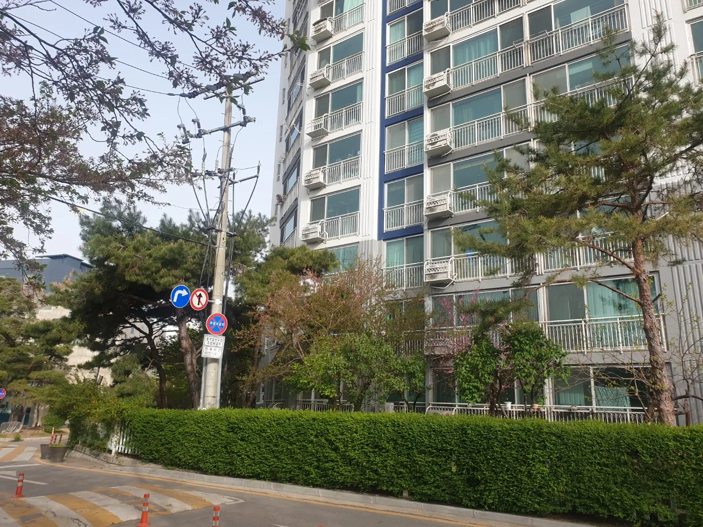 이미지 7