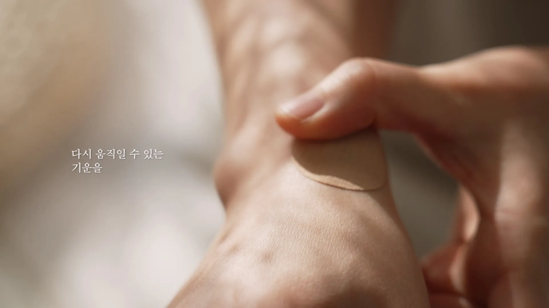 이미지 3