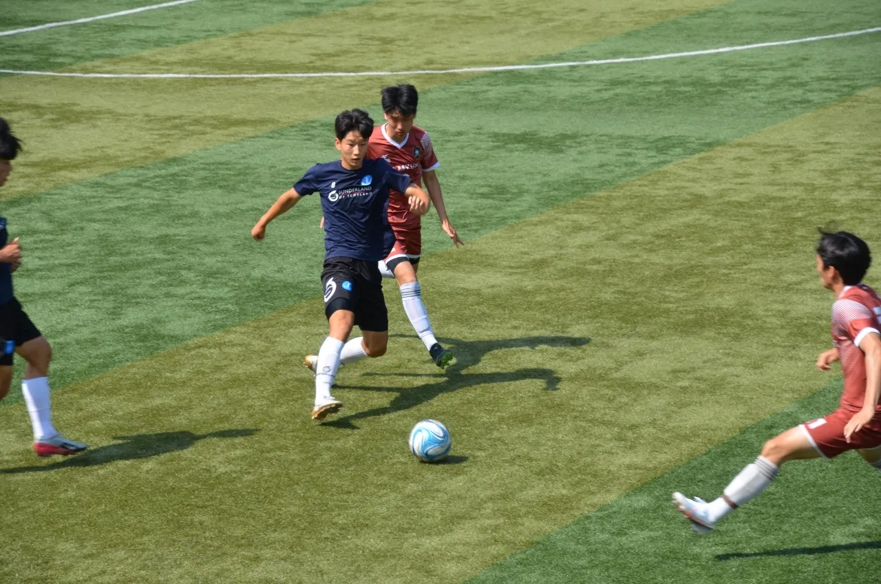 이미지 3