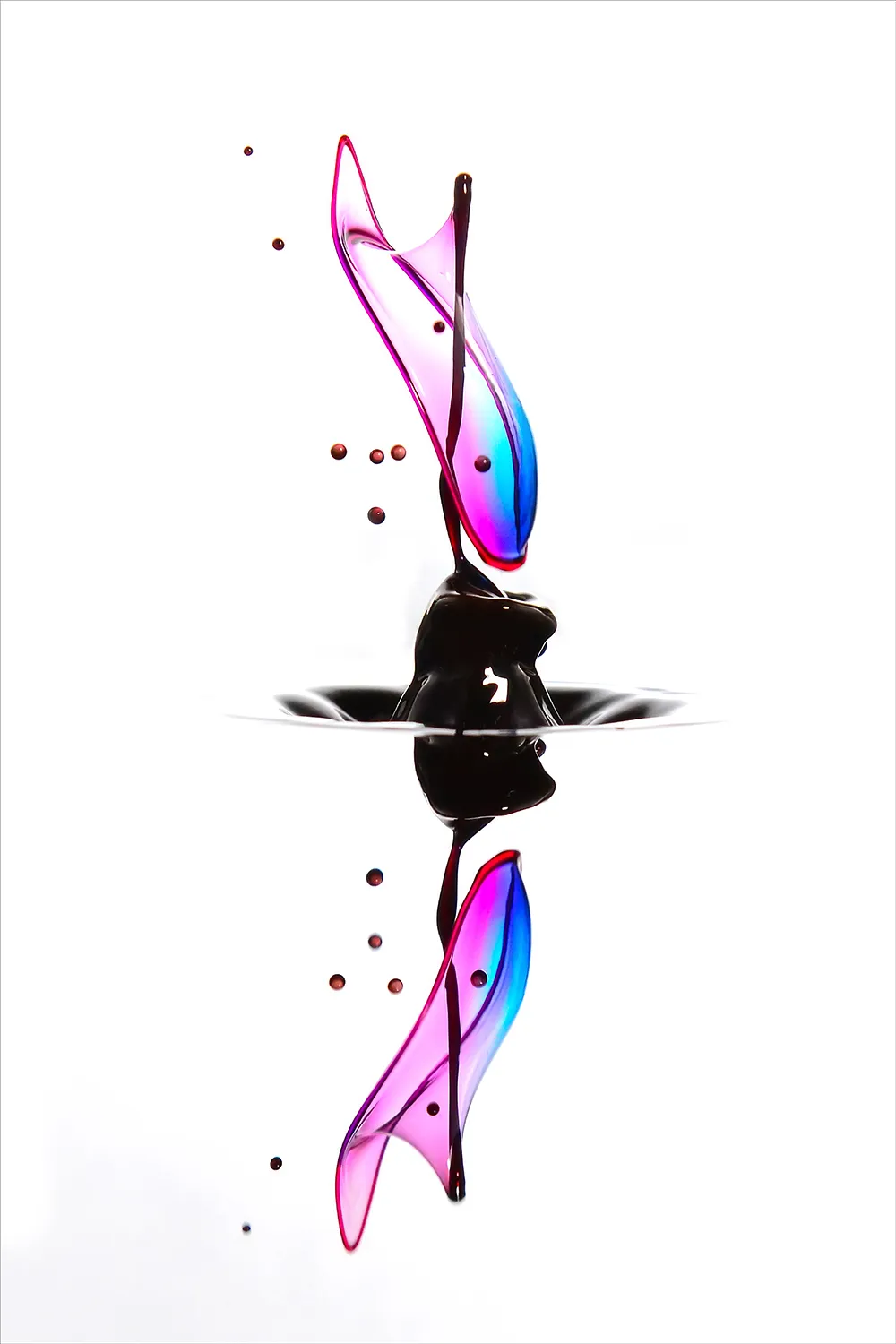 이미지 8