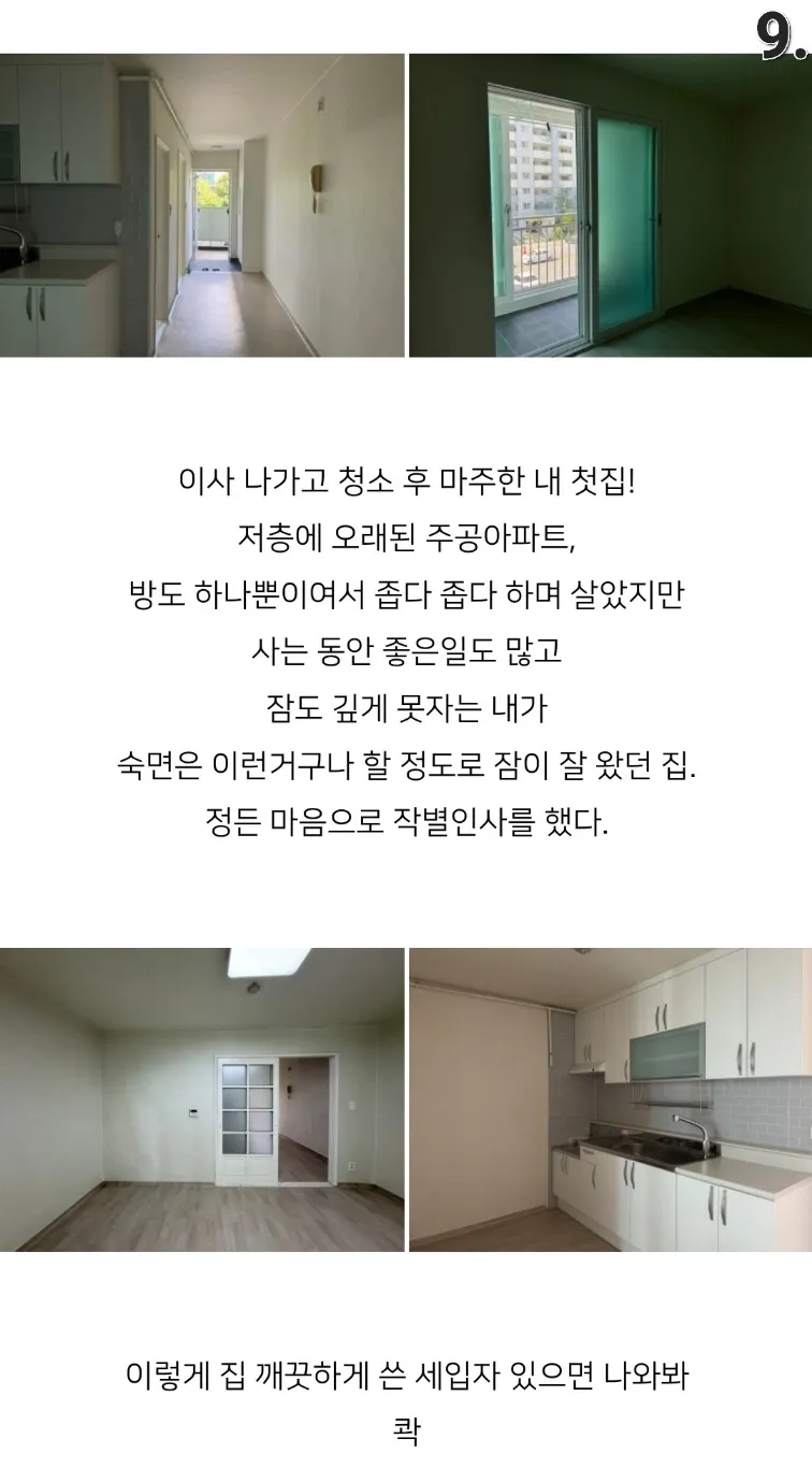 이미지 12
