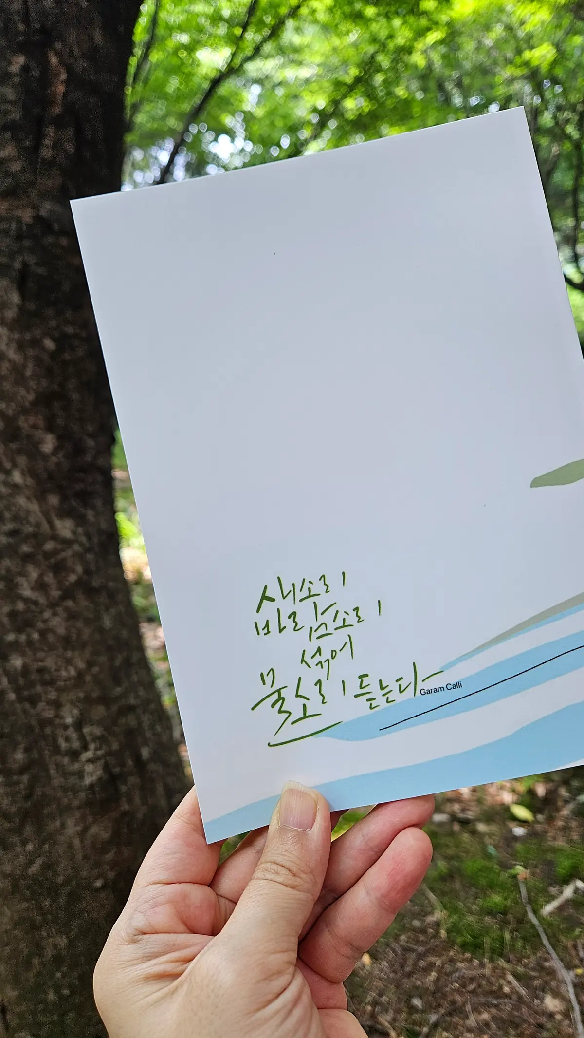 이미지 8