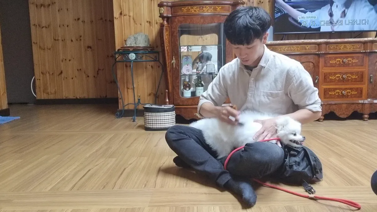 이미지 9