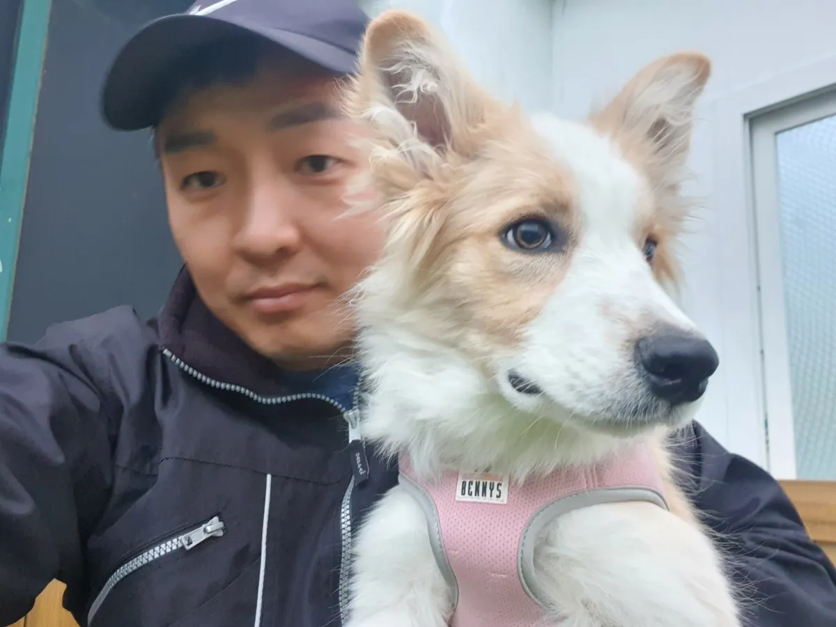 이미지 7