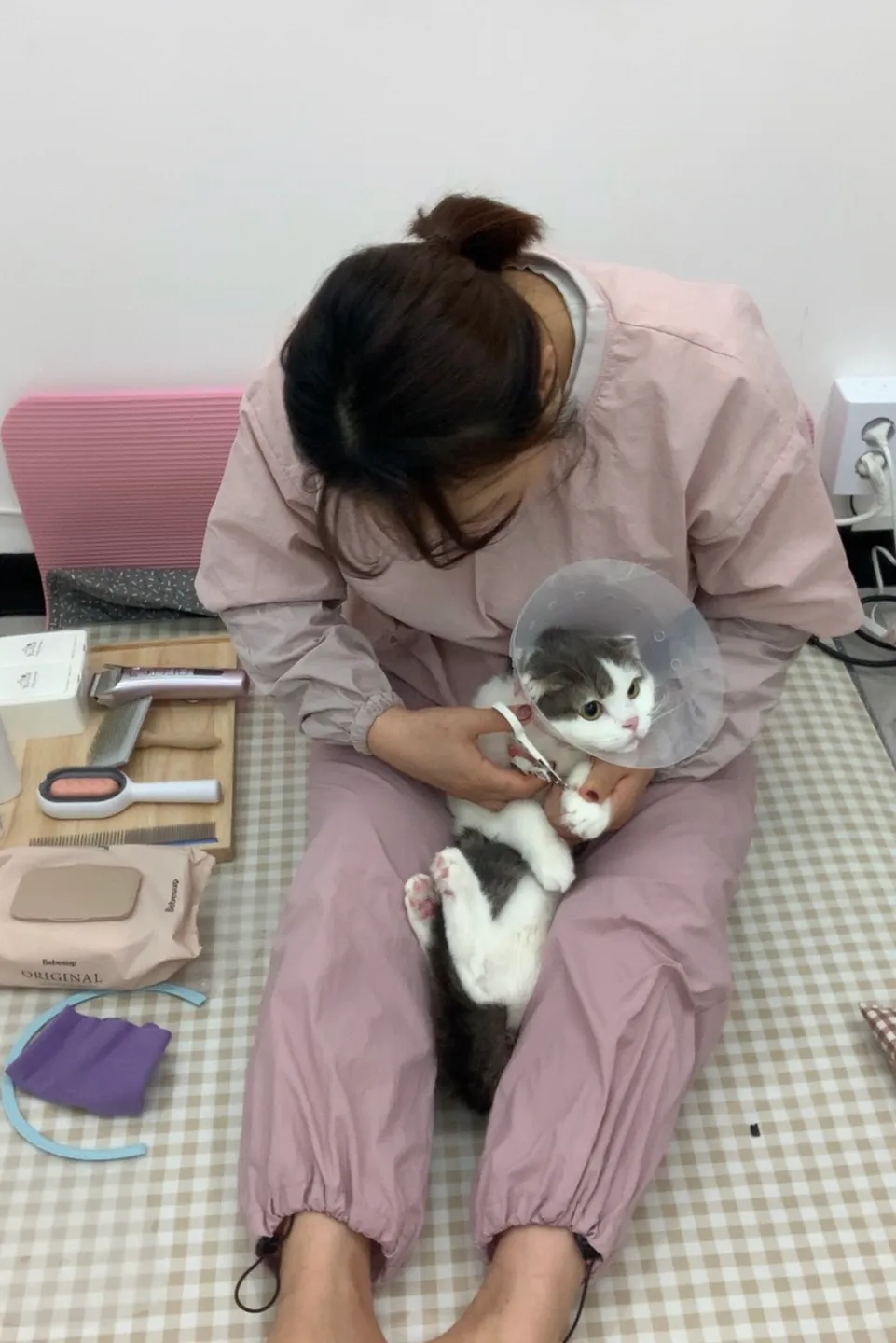 이미지 12