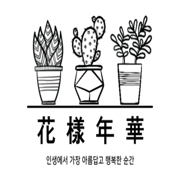 이미지 7