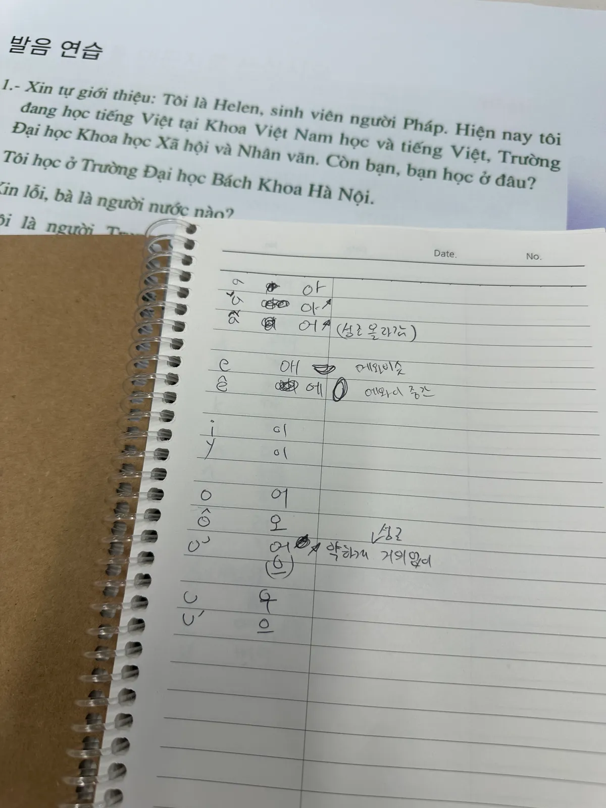 이미지 4