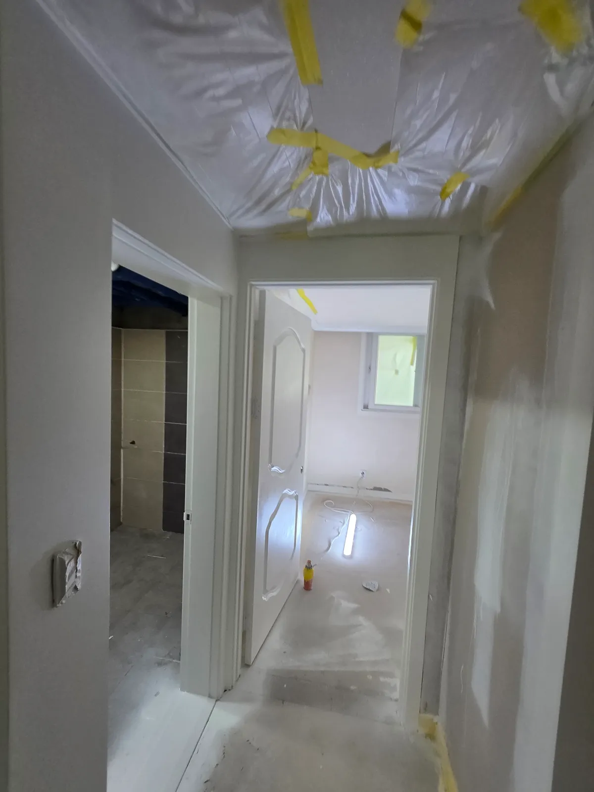 이미지 7
