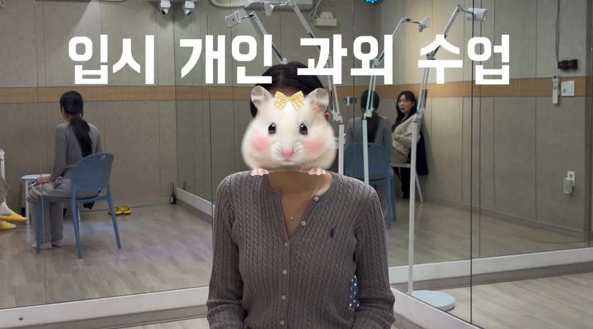 이미지 5