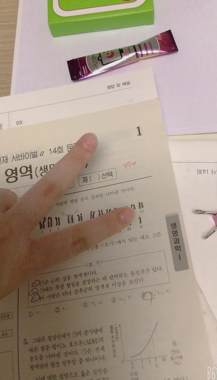 이미지 10